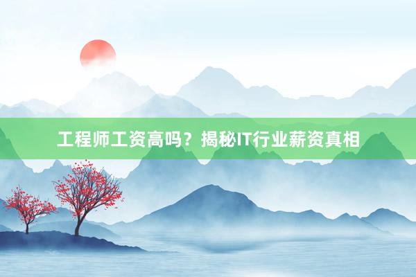 工程师工资高吗？揭秘IT行业薪资真相